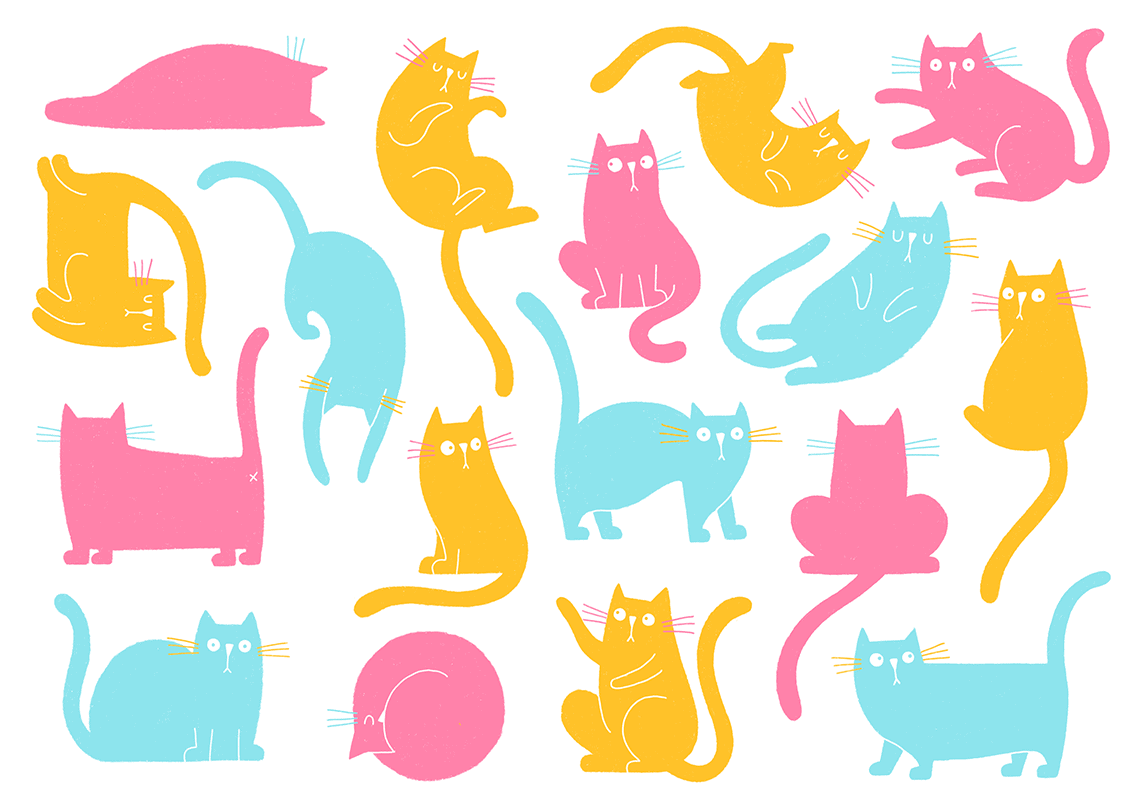Character design illustrations of a chubby cat.