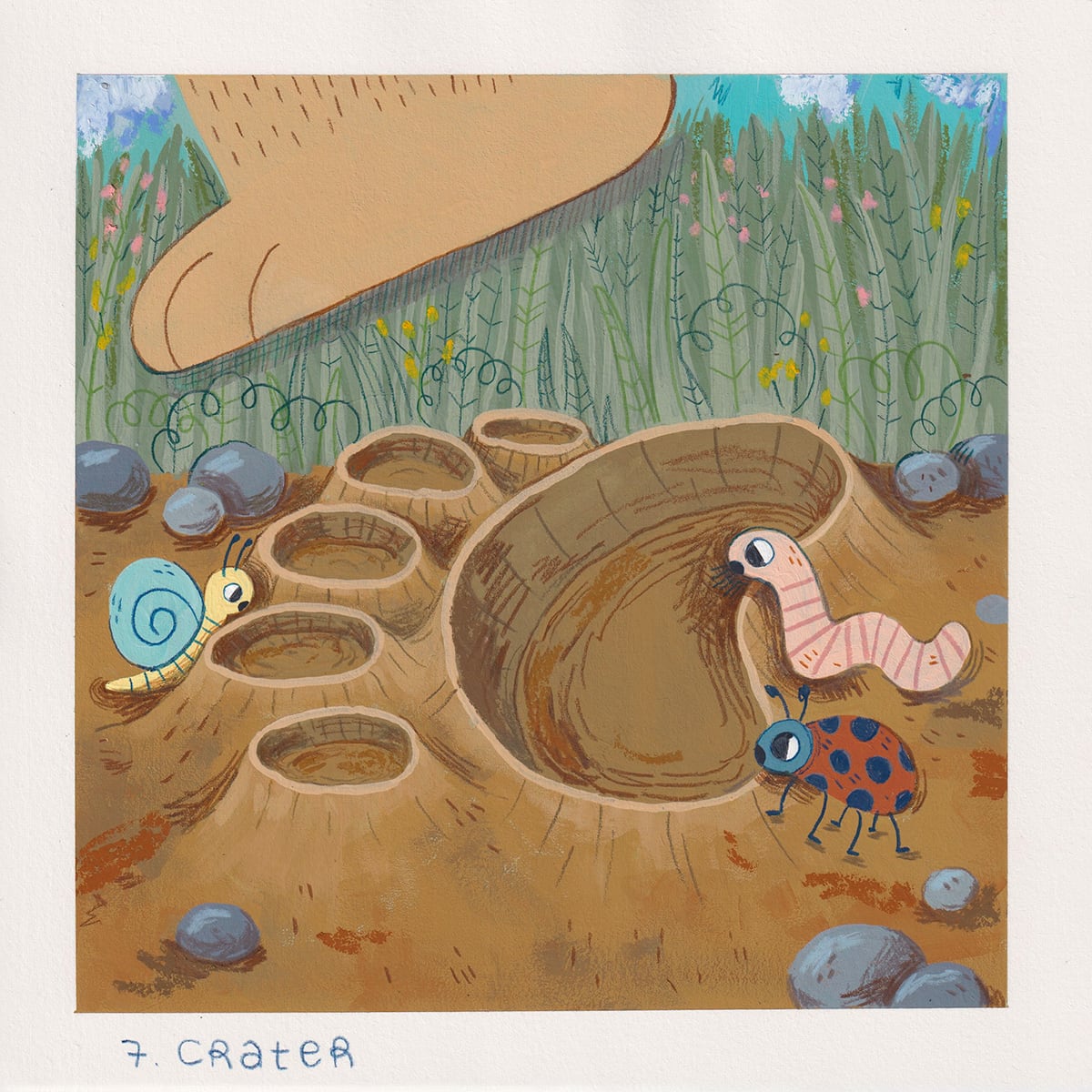 DAY 7 - Crater